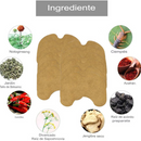 Adesivo de extrato de artemísia chinesa