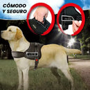 Arnês para cães 