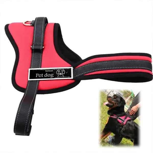 Arnês para cães 